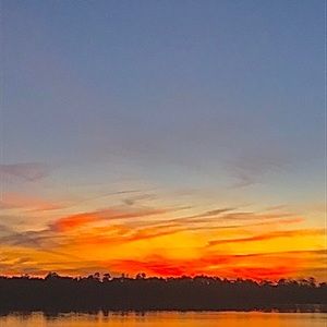 Meet your Posher, Jackson